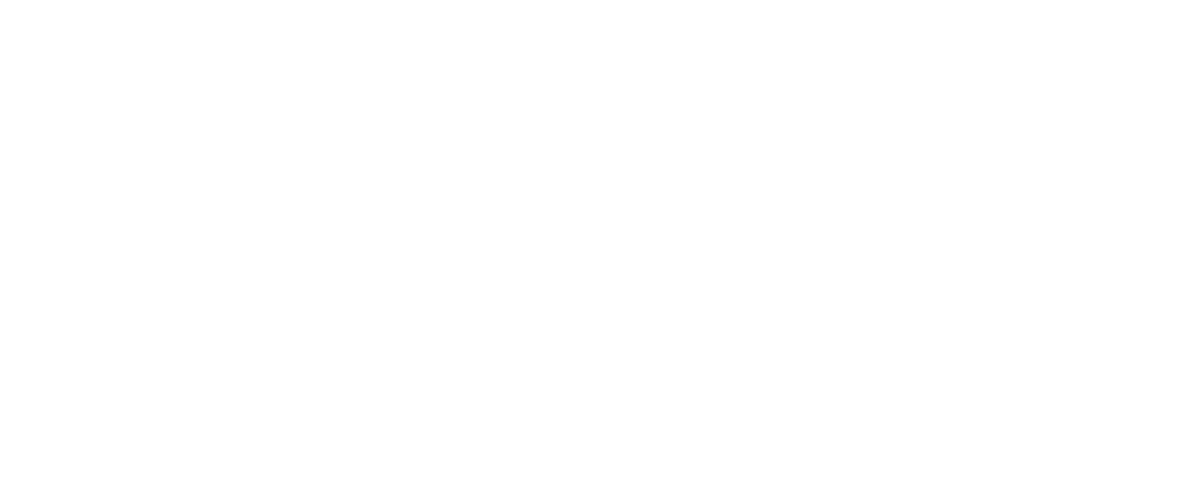 Logo bfi