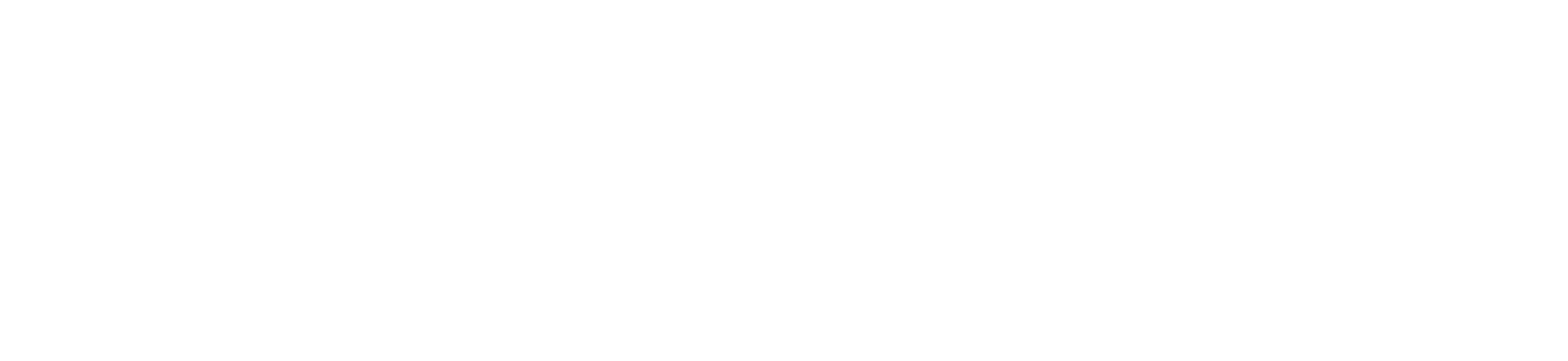 Logo Edrizzi